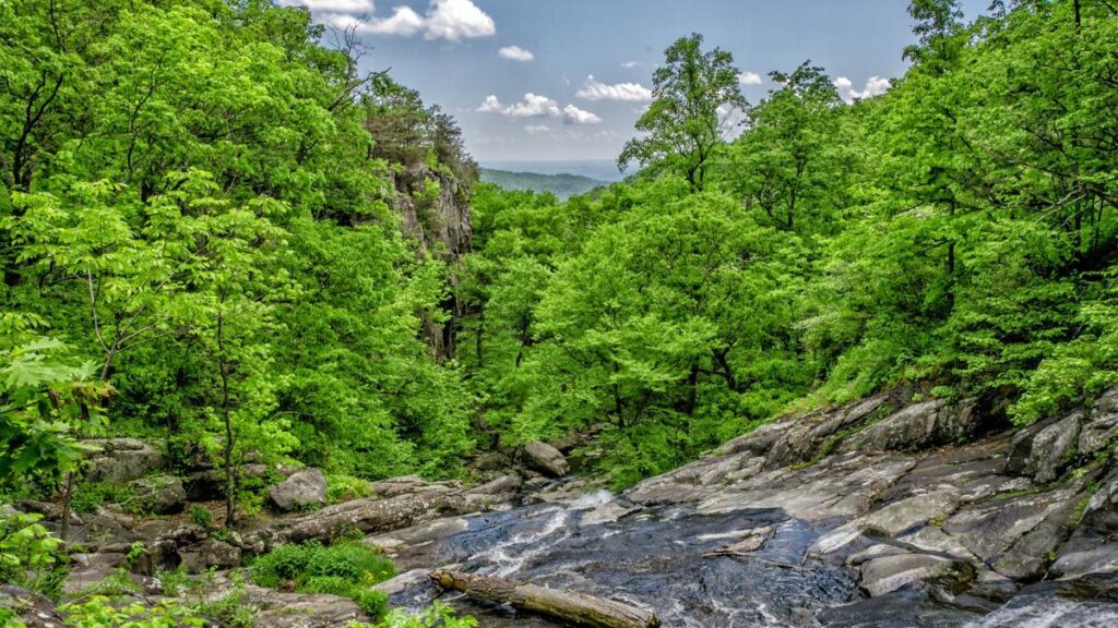 Местни експерти обсъдиха устойчивото развитие на Кърджали